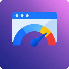 Google PageSpeed Insights icon representing website speed and performance analysis.